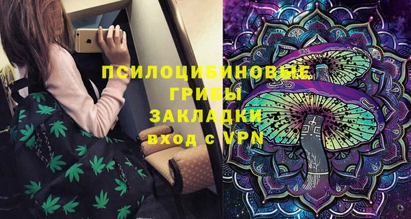 a pvp Богородицк