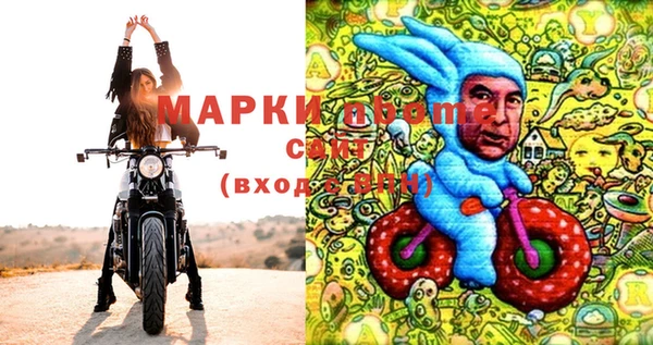 apvp Билибино