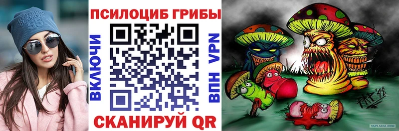 где купить наркотик  hydra ссылка  Галлюциногенные грибы мицелий  Гулькевичи 