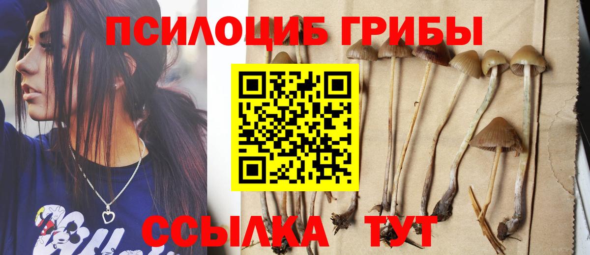 Галлюциногенные грибы Cubensis Гулькевичи